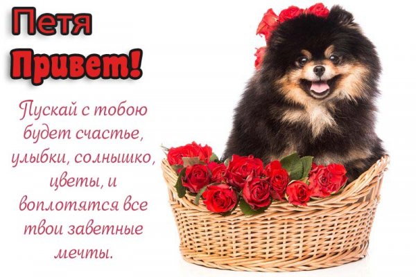 Ника привет