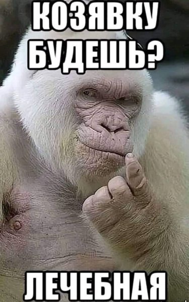 Мемы про козявки