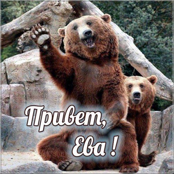Фото привет ева