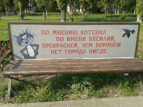 Воронеж приколы