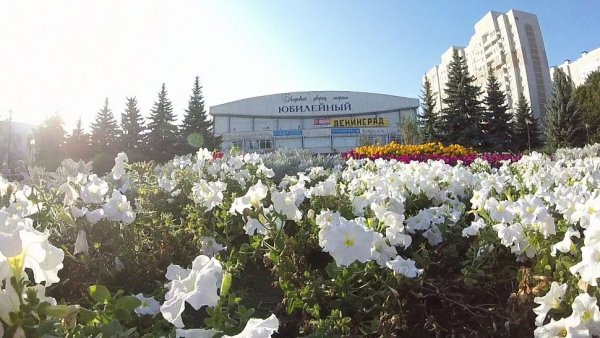 Привет Воронеж картинка