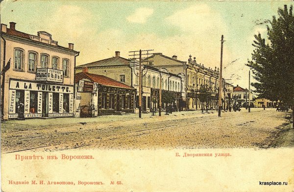 Чернавский мост Воронеж