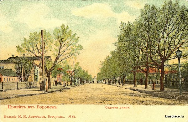 Благовещенский собор Воронеж вид сверху
