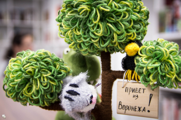 Город Воронеж