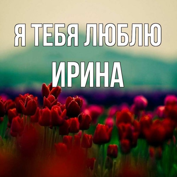 Имя Рашид