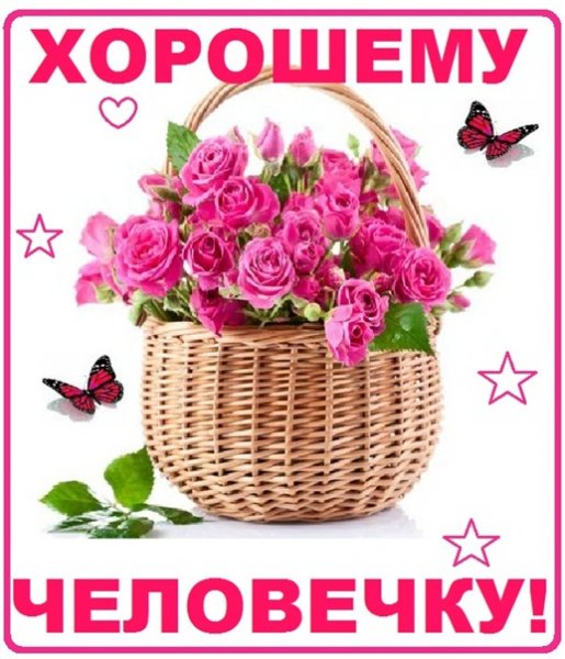 Нежные весенние цветы