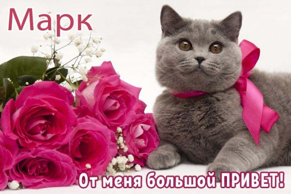 Привет я Марк арт