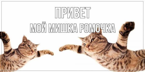 Ромочка + Феликс