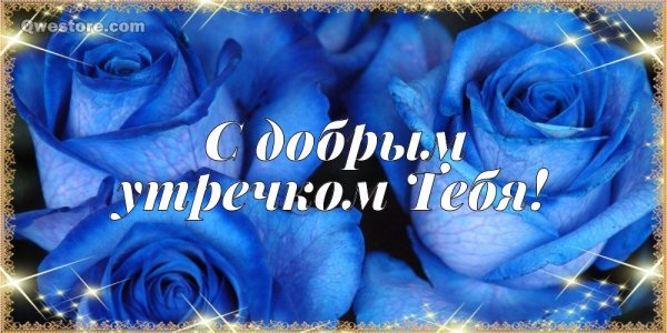 Доброе утро синие розы
