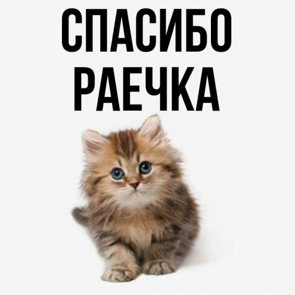 Раечка