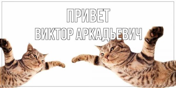 Открытки привет