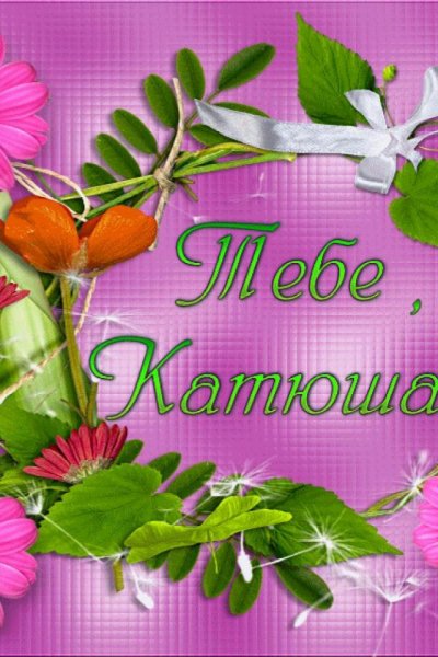 Привет котик