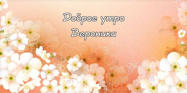 Доброе утро Звездочка
