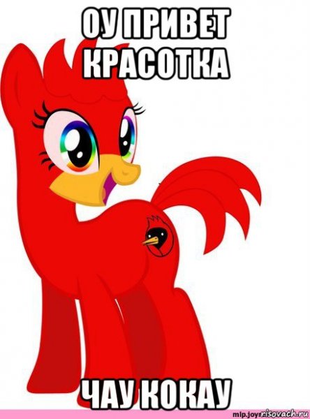 Красавица мемы