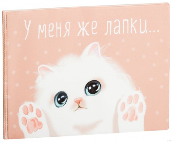 Мемы про Киру