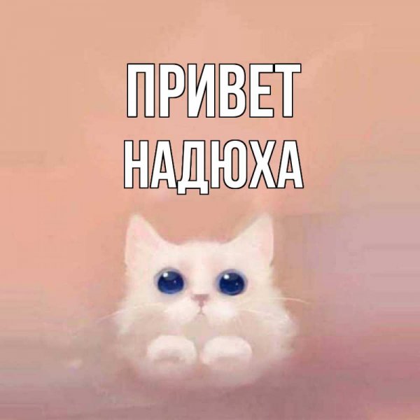 Привет медведь Мем