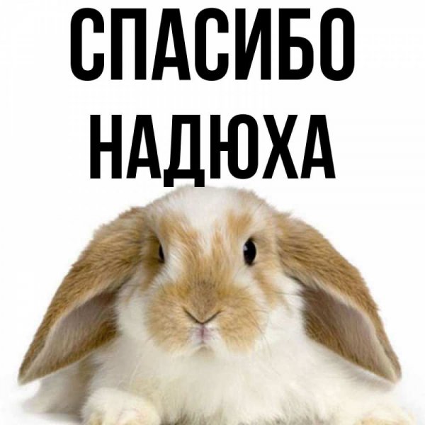 Мемы про Надюху