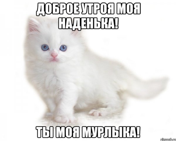 Приколы про Надюху