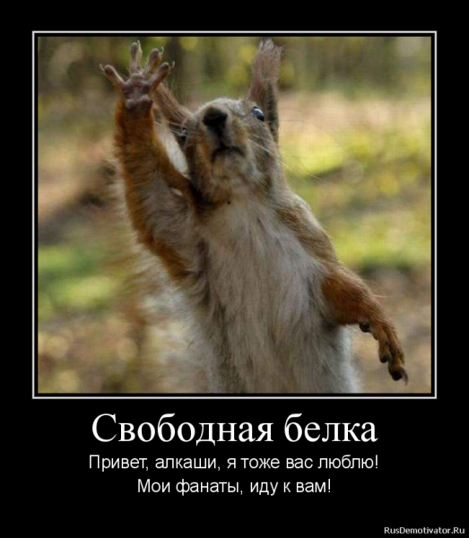 Привет алкаш