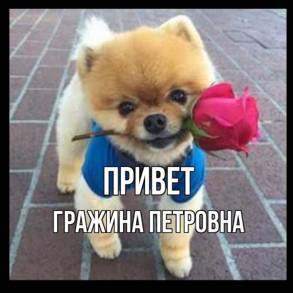 Открытки привет прикольные