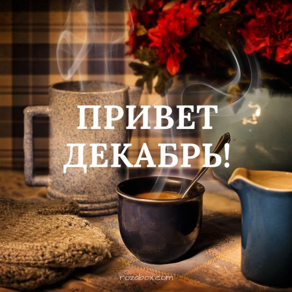 Привет декабрь