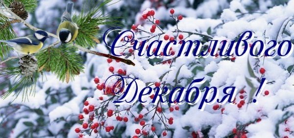 Привет декабрь Здравствуй зима