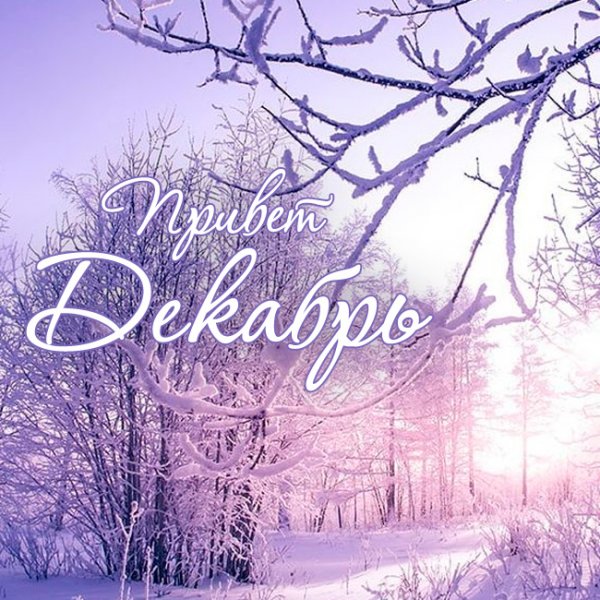 1 Декабря привет декабрь