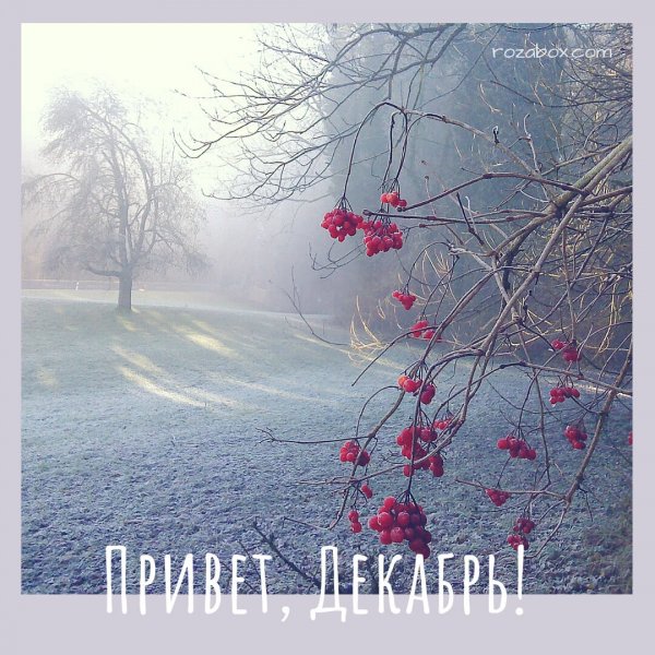 Привет зима декабрь