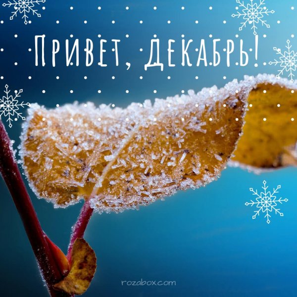 Здравствуй декабрь картинки