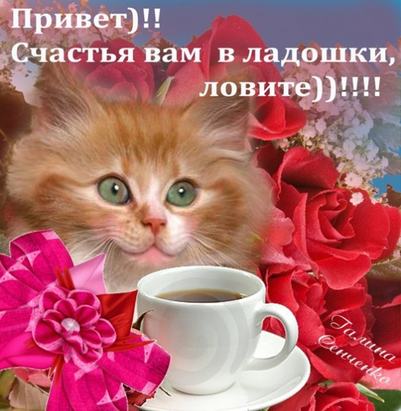 Среда привет с добрым утром