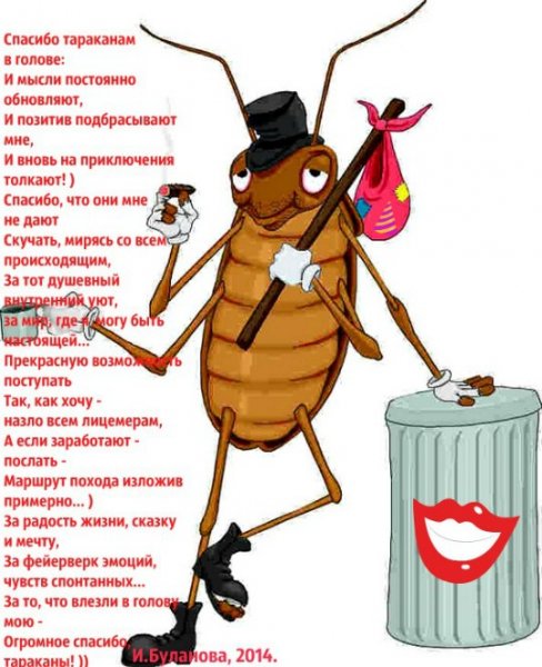 Тараканы поздравляют с днем рождения