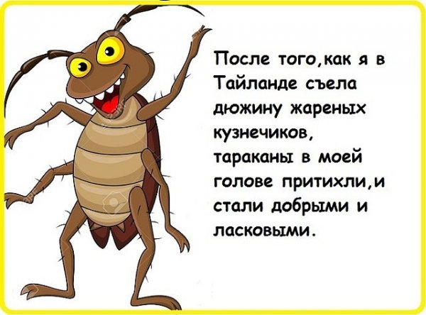 Смешные шутки про тараканов