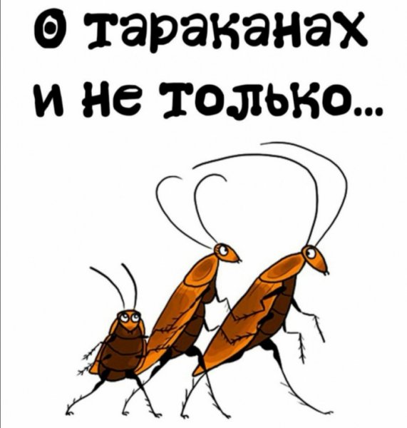 Открытка с тараканами