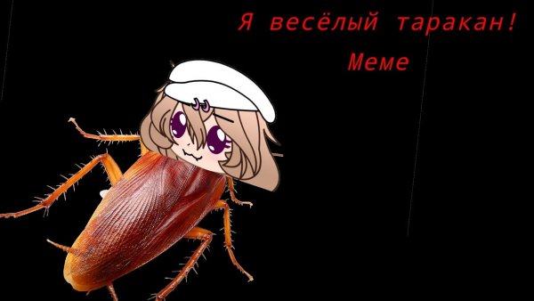 Веселый таракан