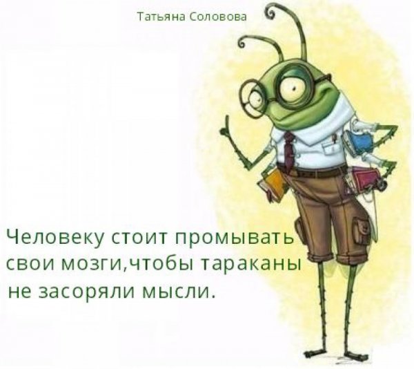 Прикольные фразы про тараканов в голове
