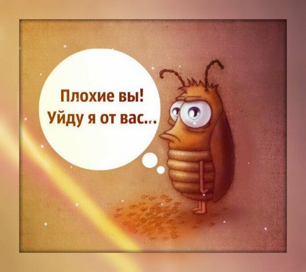 Тараканы смешные картинки