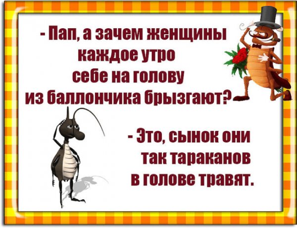 Шутки про тараканов в голове