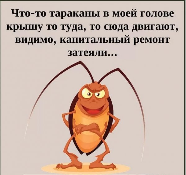 Тараканы в голове