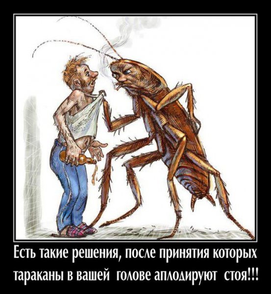 Таракан прикольный