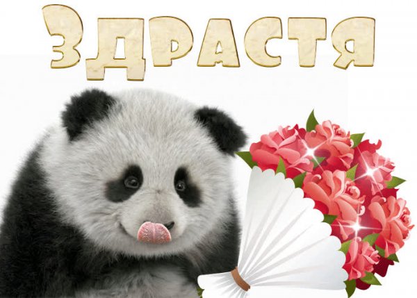 Анимашки приветствия