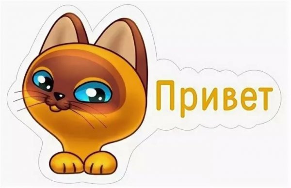 Стикер привет