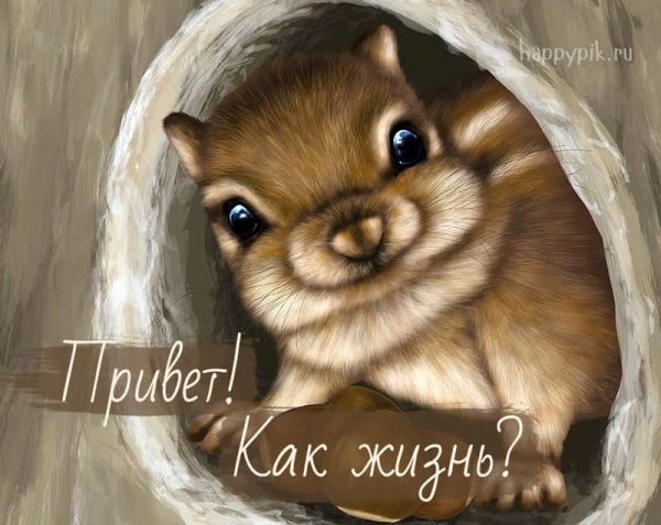 Рисованные зверьки