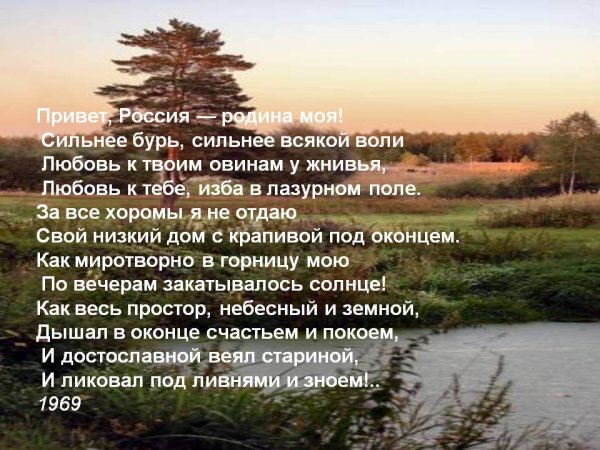 Стихи поэтов о родине