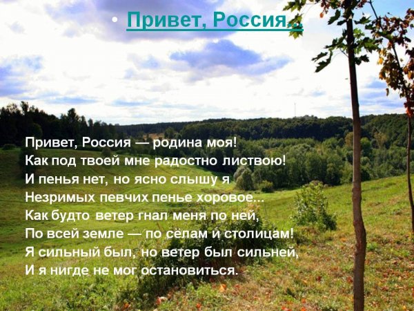 Стихотворение о природе и родине