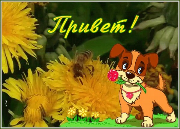 Привет дорогой открытки
