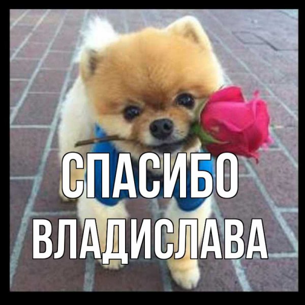 Привет спасибо