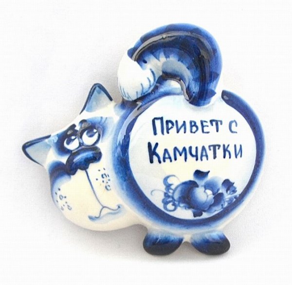 Никитин Камчатка