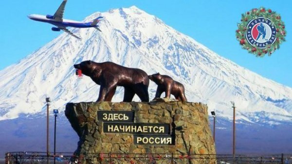 Камчатка медведи улицы