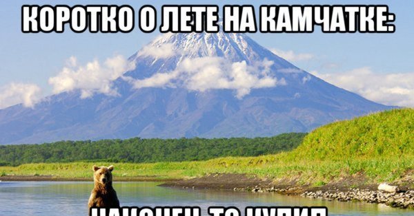 Медведь в горячем источнике