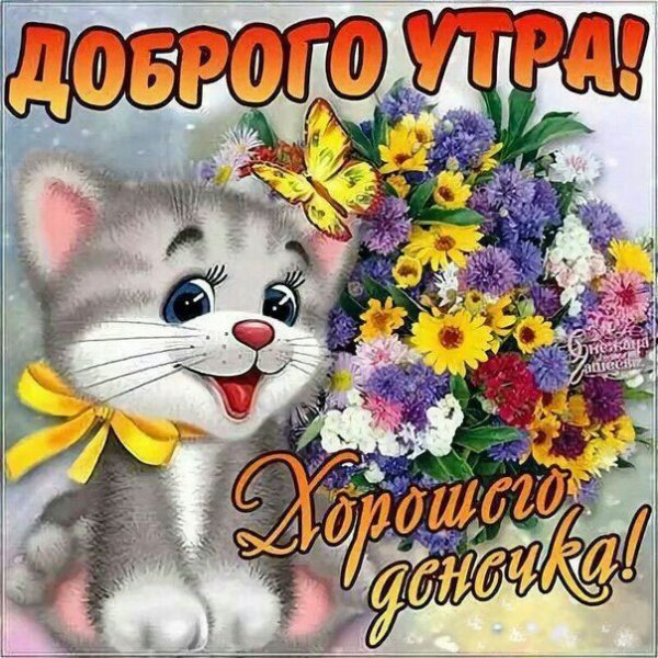 Открытки привет с добрым утром